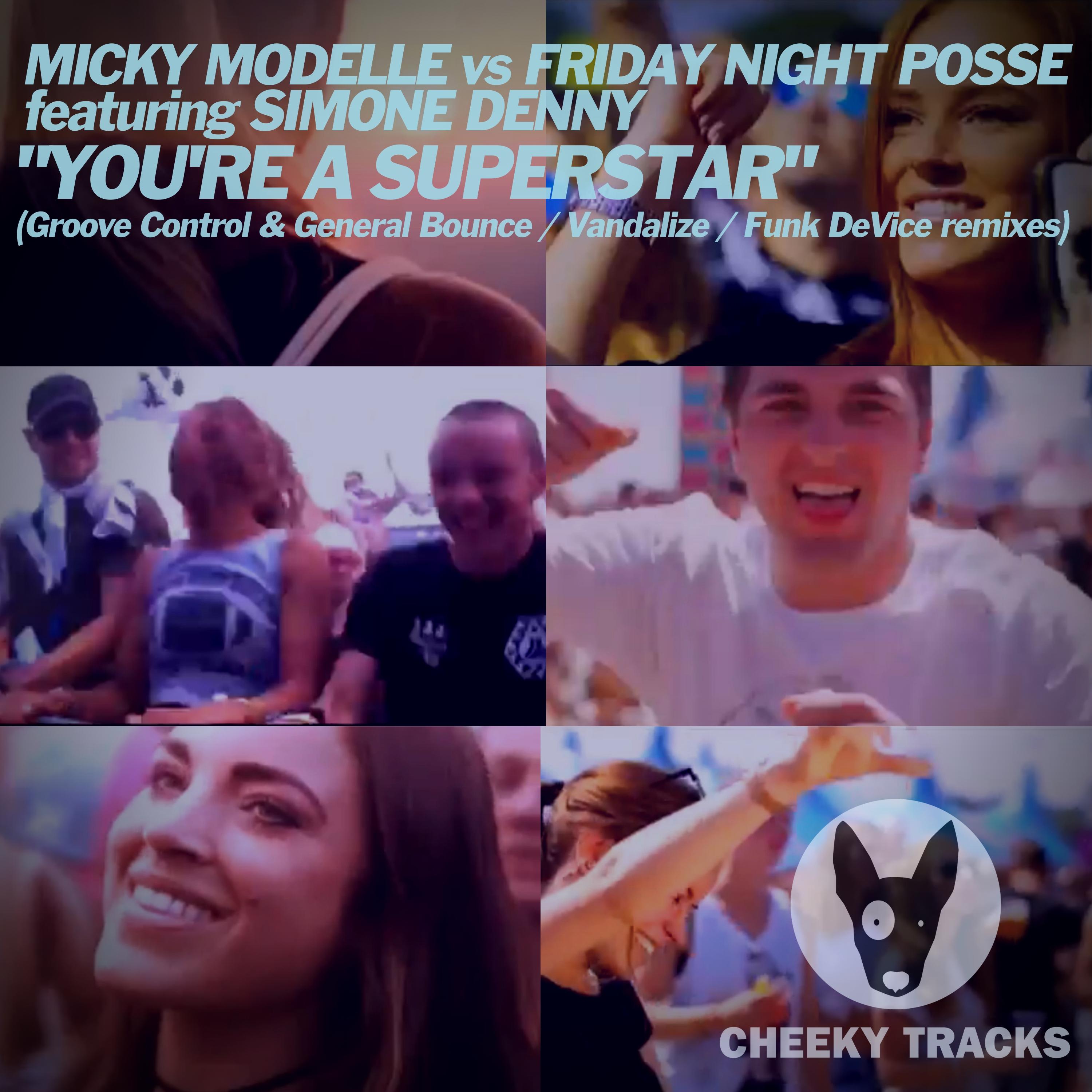 Micky Modelle - You're A Superstar (Vandalize Remix)