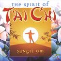 The Spirit of Tai Chi专辑