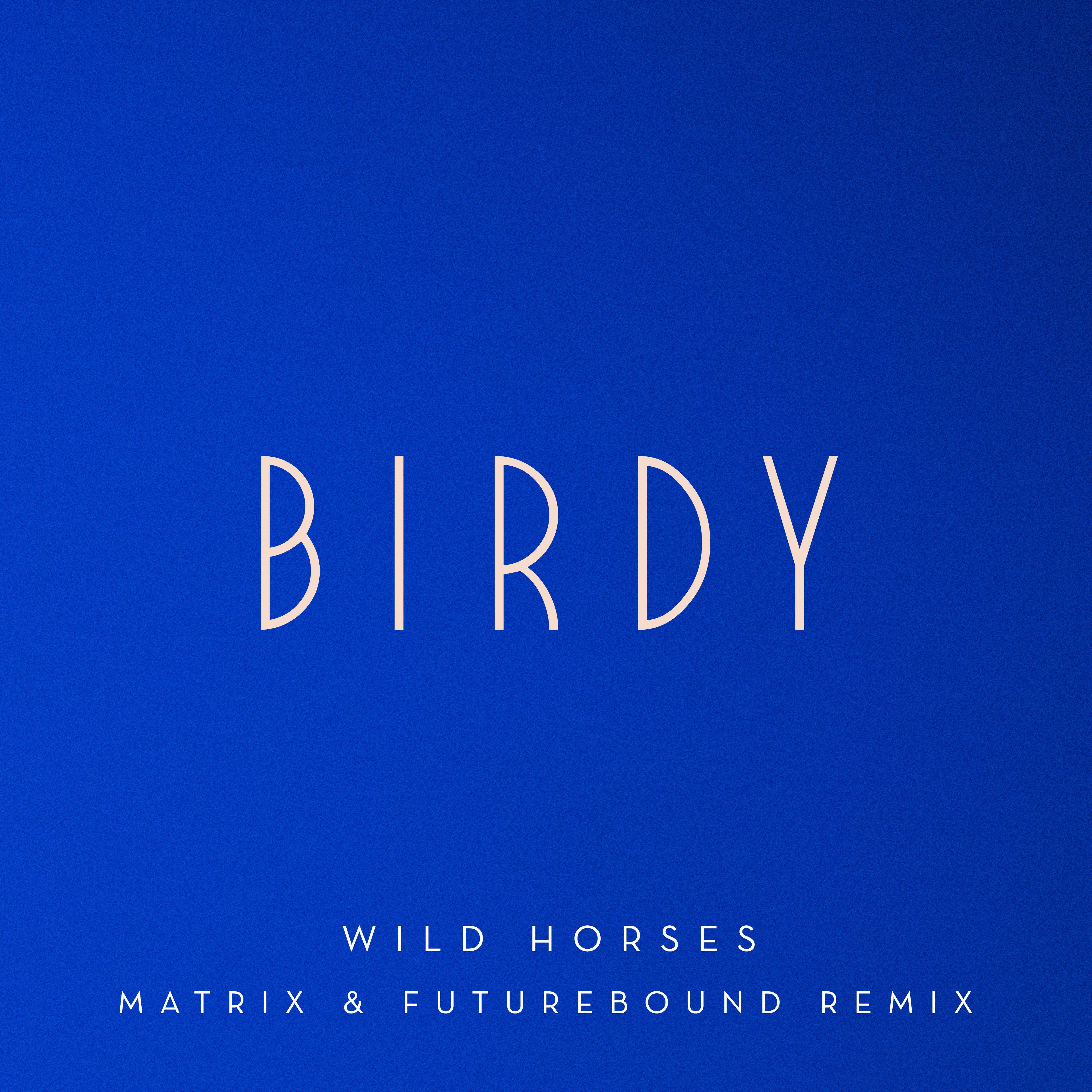 Wild Horses (Matrix & Futurebound Remix) [Extended]