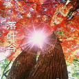 落叶山谷