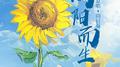向阳而生专辑