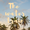 The water train专辑