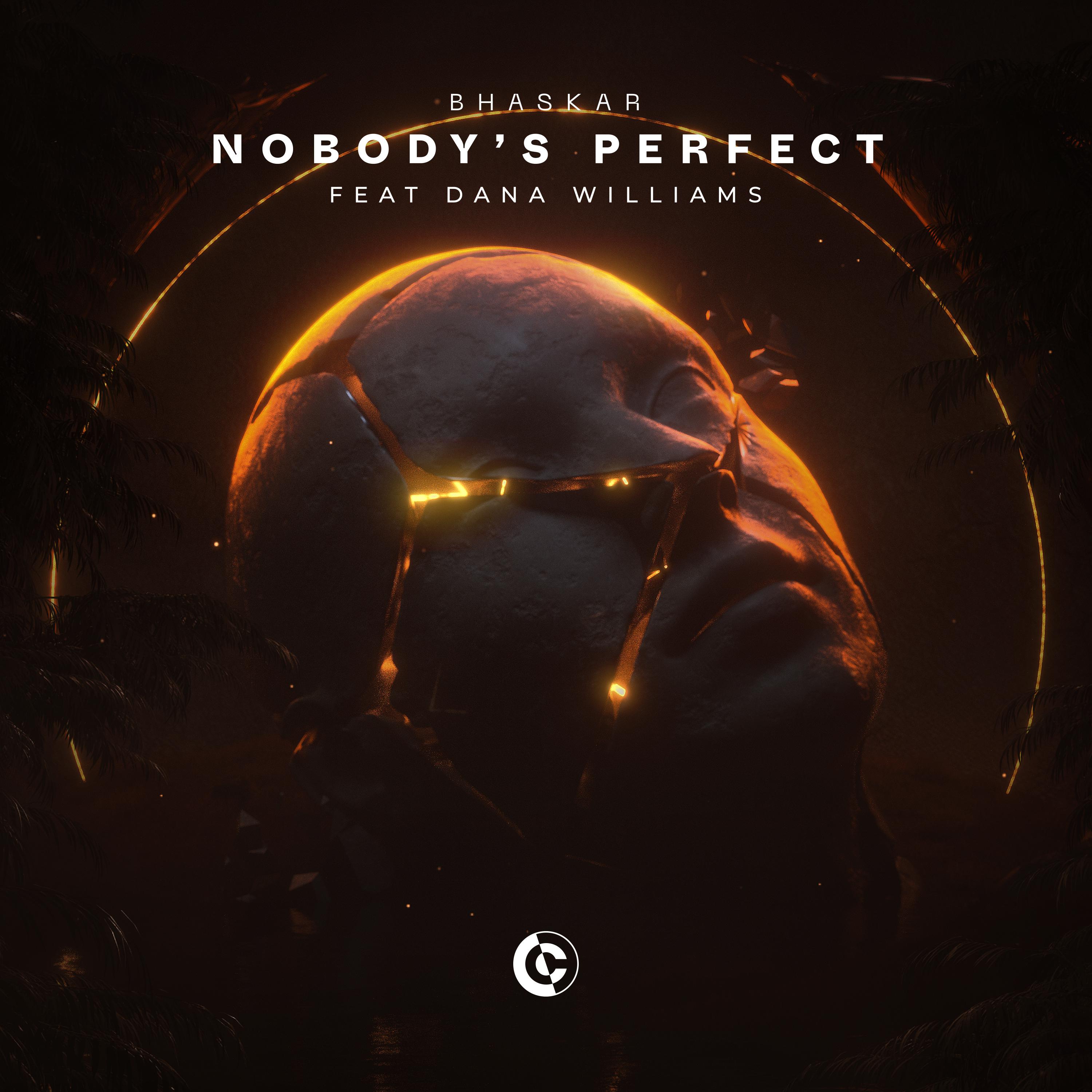 Nobody's Perfect (feat. Dana Williams)专辑