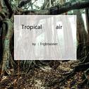 Tropical air专辑