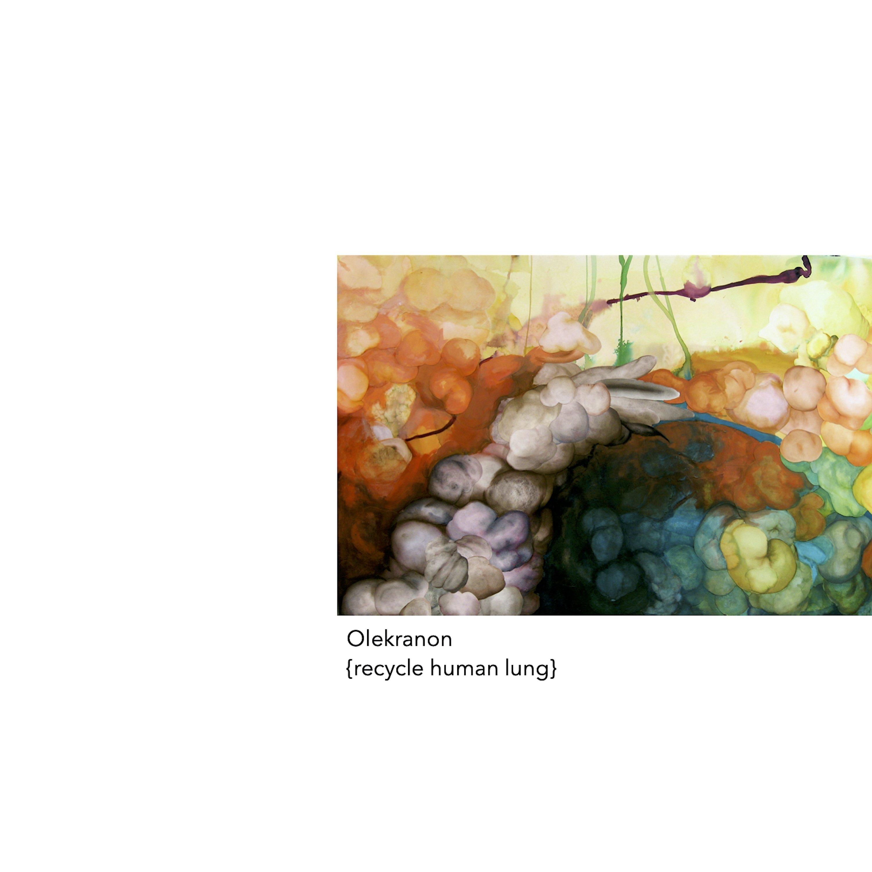 Recycle Human Lung