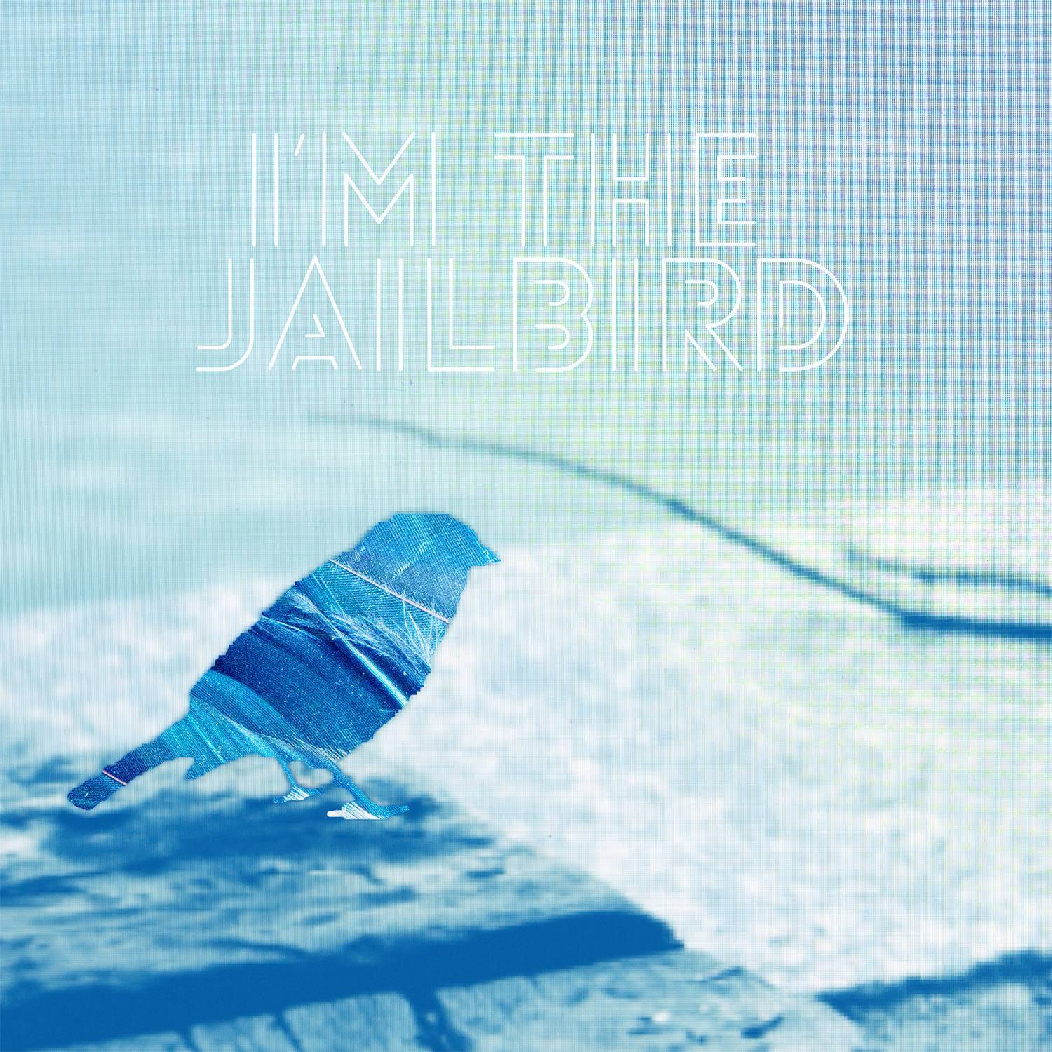 I'm the Jailbird