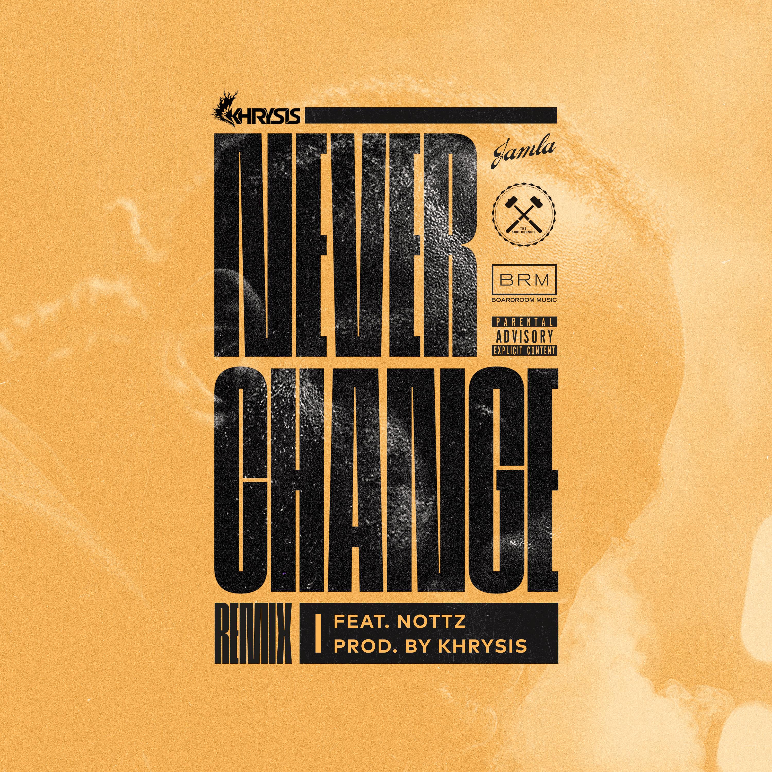 Never Change (Remix) [feat. Nottz]