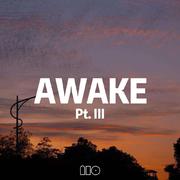 Awake Pt.III