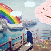봄의 퍼즐