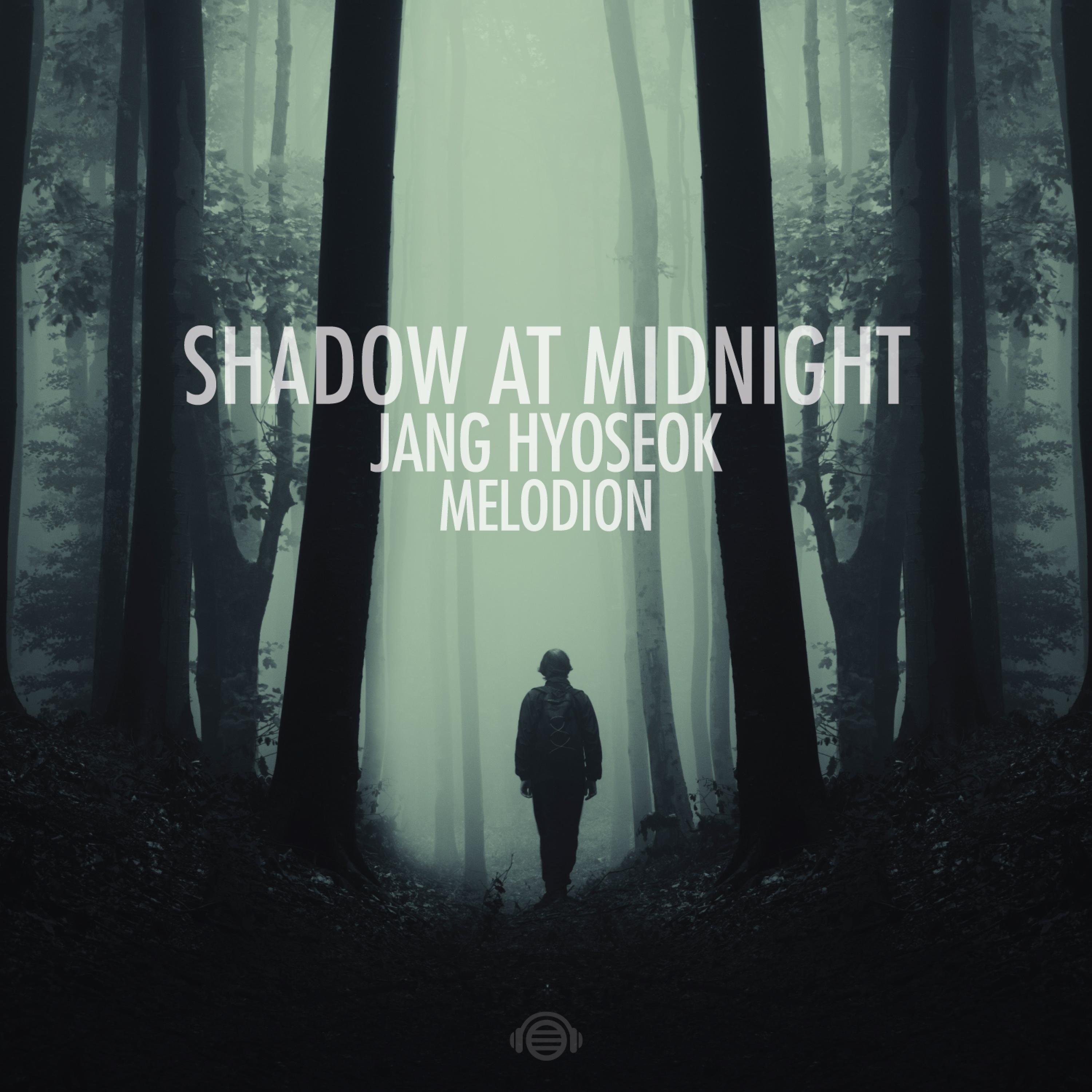 Shadow At Midnight