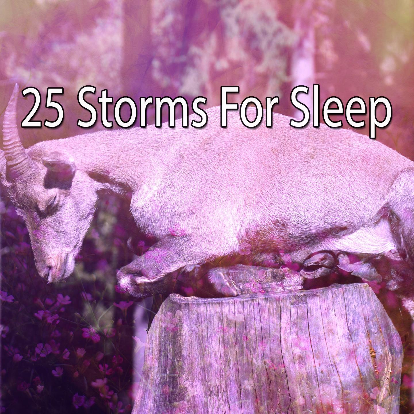 25 Storms For Sleep专辑