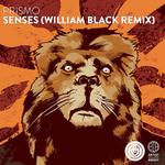 Senses (William Black Remix)专辑