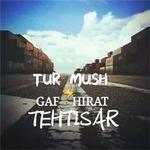 TUR MUSH专辑