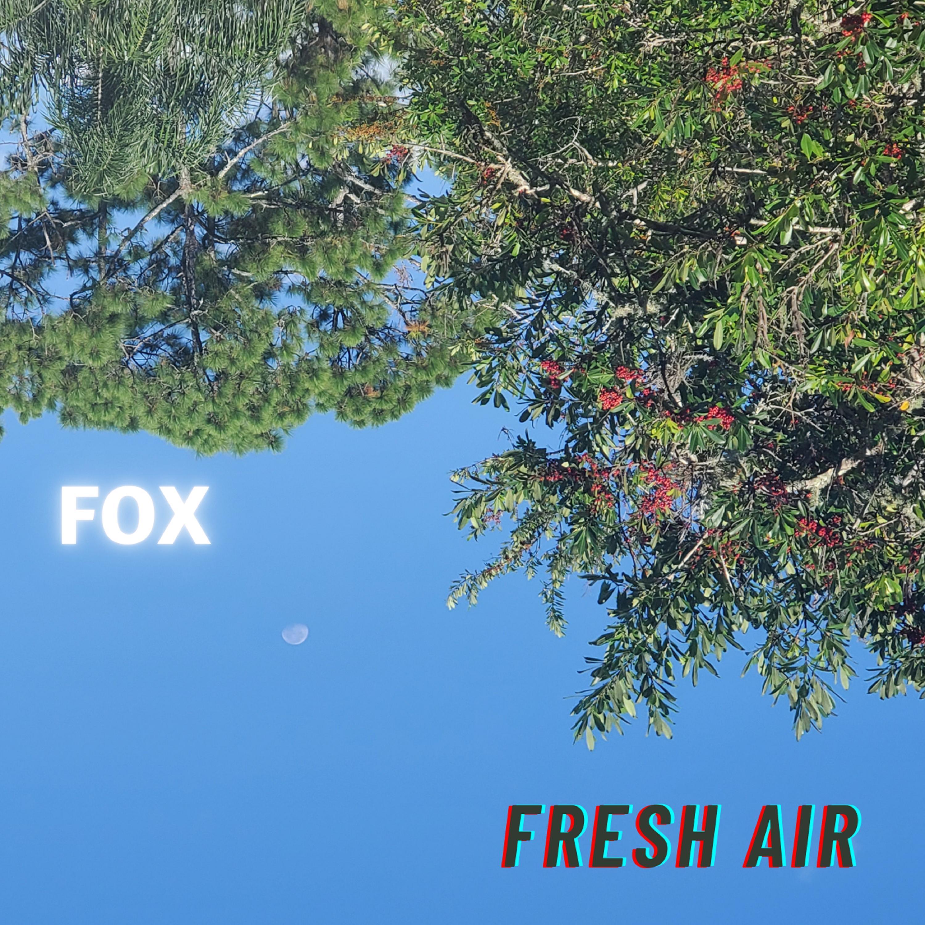 Fresh Air