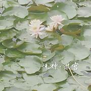 悦神