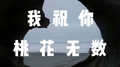 我祝你桃花无数专辑