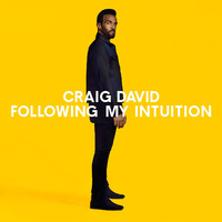 Blonde Craig David - NOTHING LIKE THIS