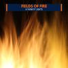 Ambient Fire Focus Music - Fire Being Fed of Air