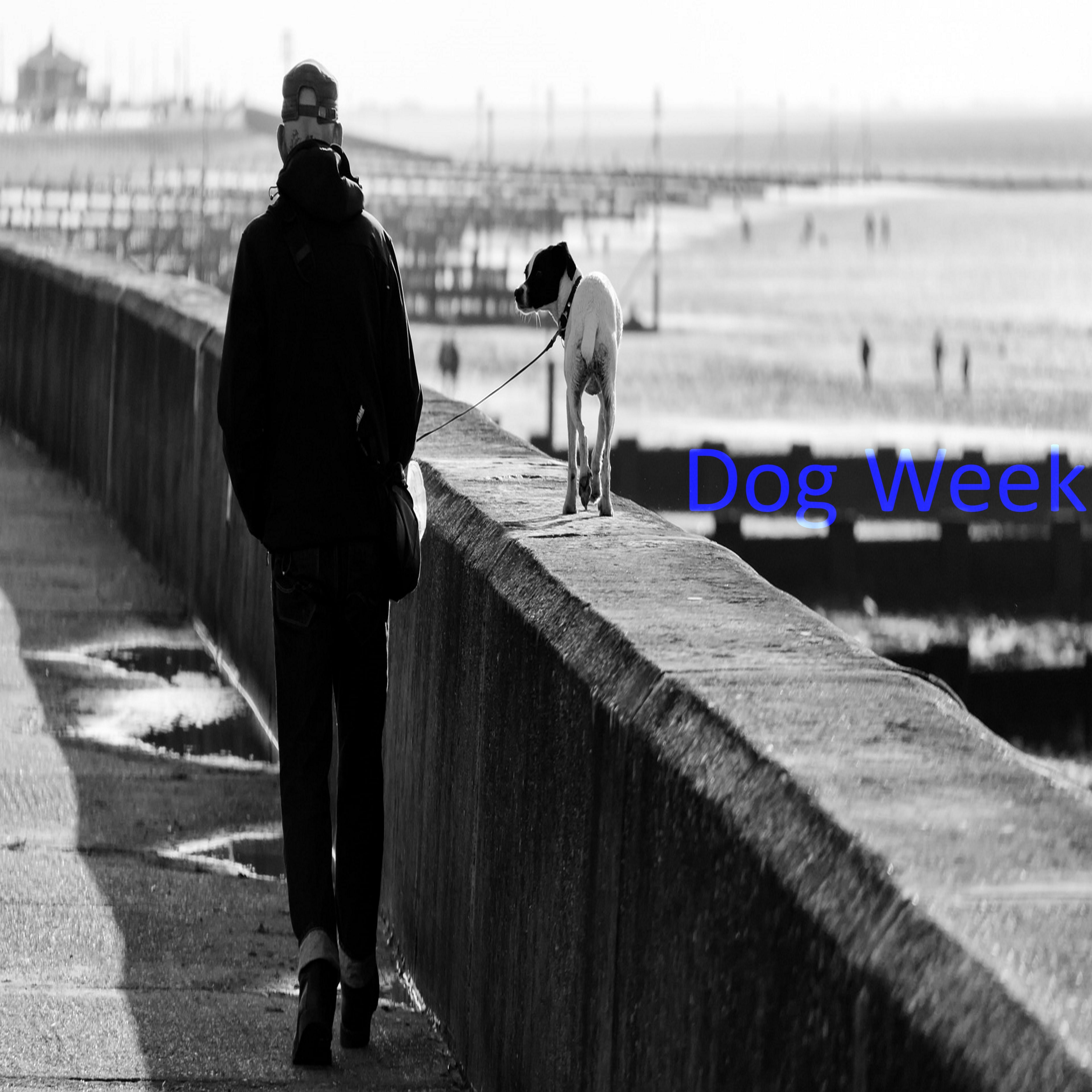 Dog Week