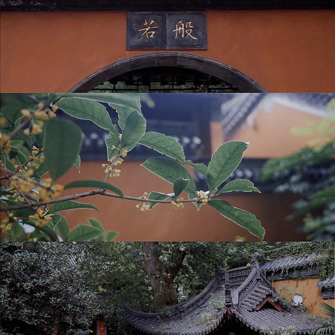 姑苏遗音 软糯吴语 | 在线播放 | 网易云音乐