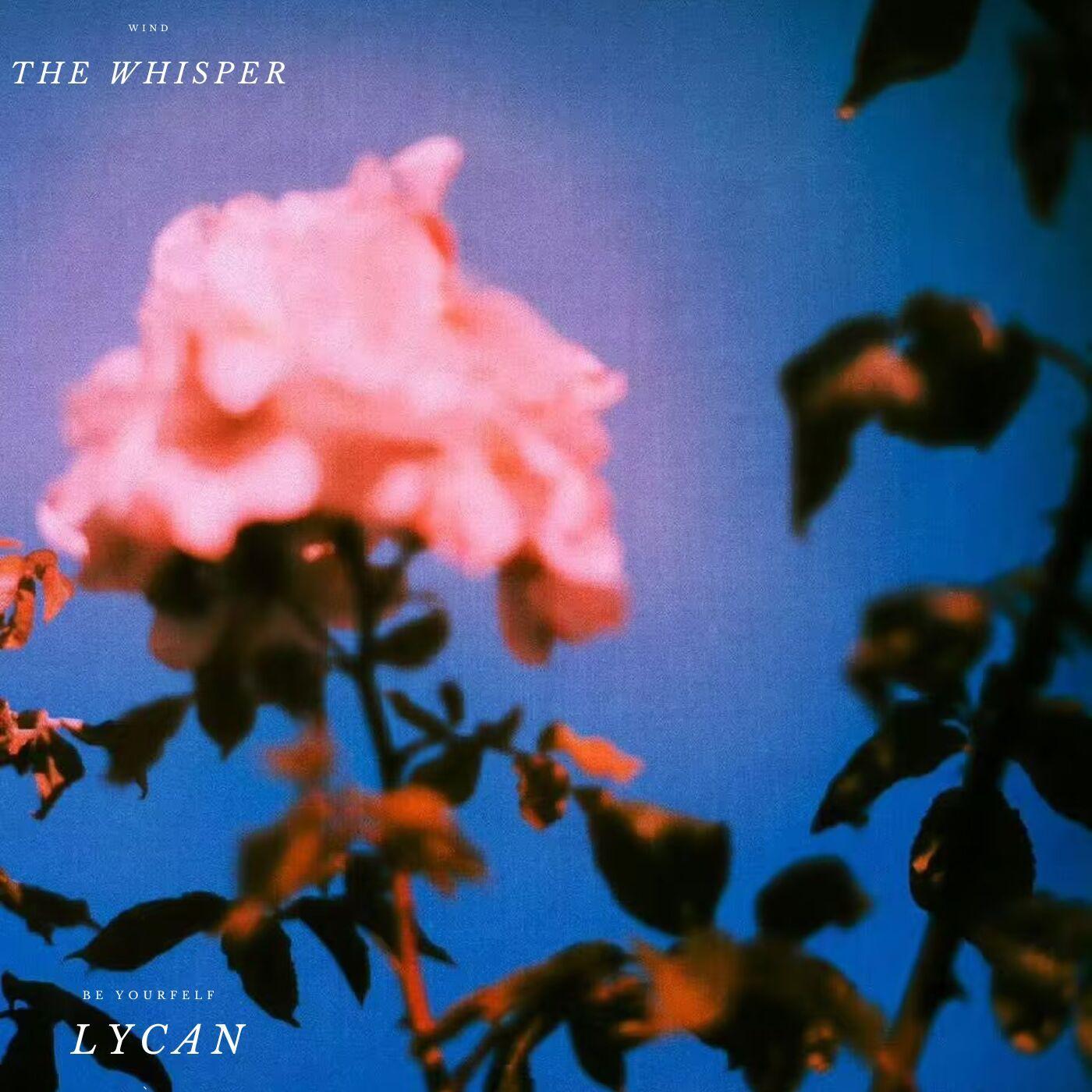 The whisper