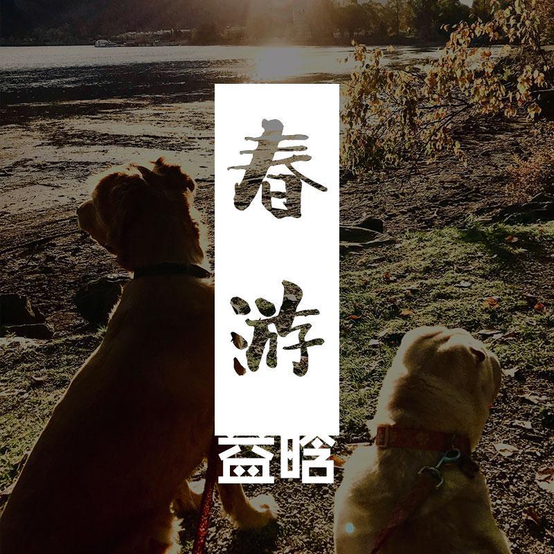 春游