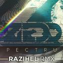 Spectrum (Razihel Remix)专辑