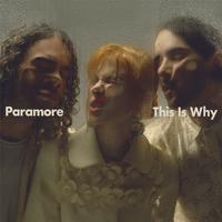 Paramore - The News (Instrumental) 原版无和声伴奏