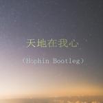 天地在我心（Hophin Bootleg）专辑