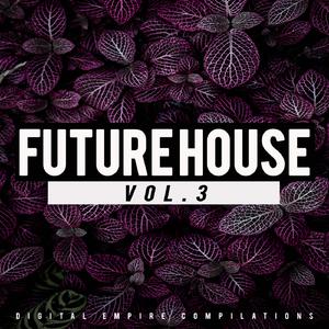 【采样】Future House Vol.3