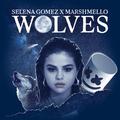 原曲：Wolves—Selena Gomez/Marshmello（此为bootleg）