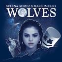 原曲：Wolves—Selena Gomez/Marshmello（此为bootleg）专辑