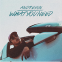 What You Need专辑