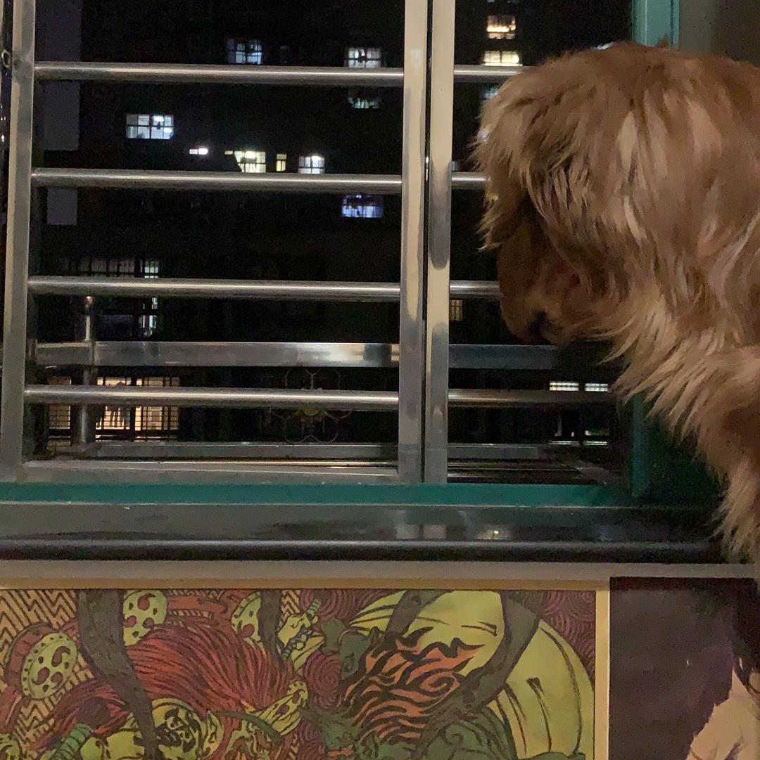 他妈妈不喜欢我