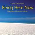 Being Here Now: Marvelous Meditation Music