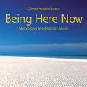 Being Here Now: Marvelous Meditation Music专辑