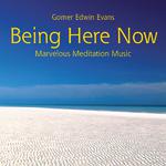 Being Here Now: Marvelous Meditation Music专辑