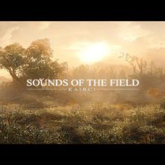 寂色田野之声(SOUNDS OF THE FIELD)