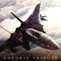 Razgriz Tribute ("Ace Combat 5" Fanmade)专辑
