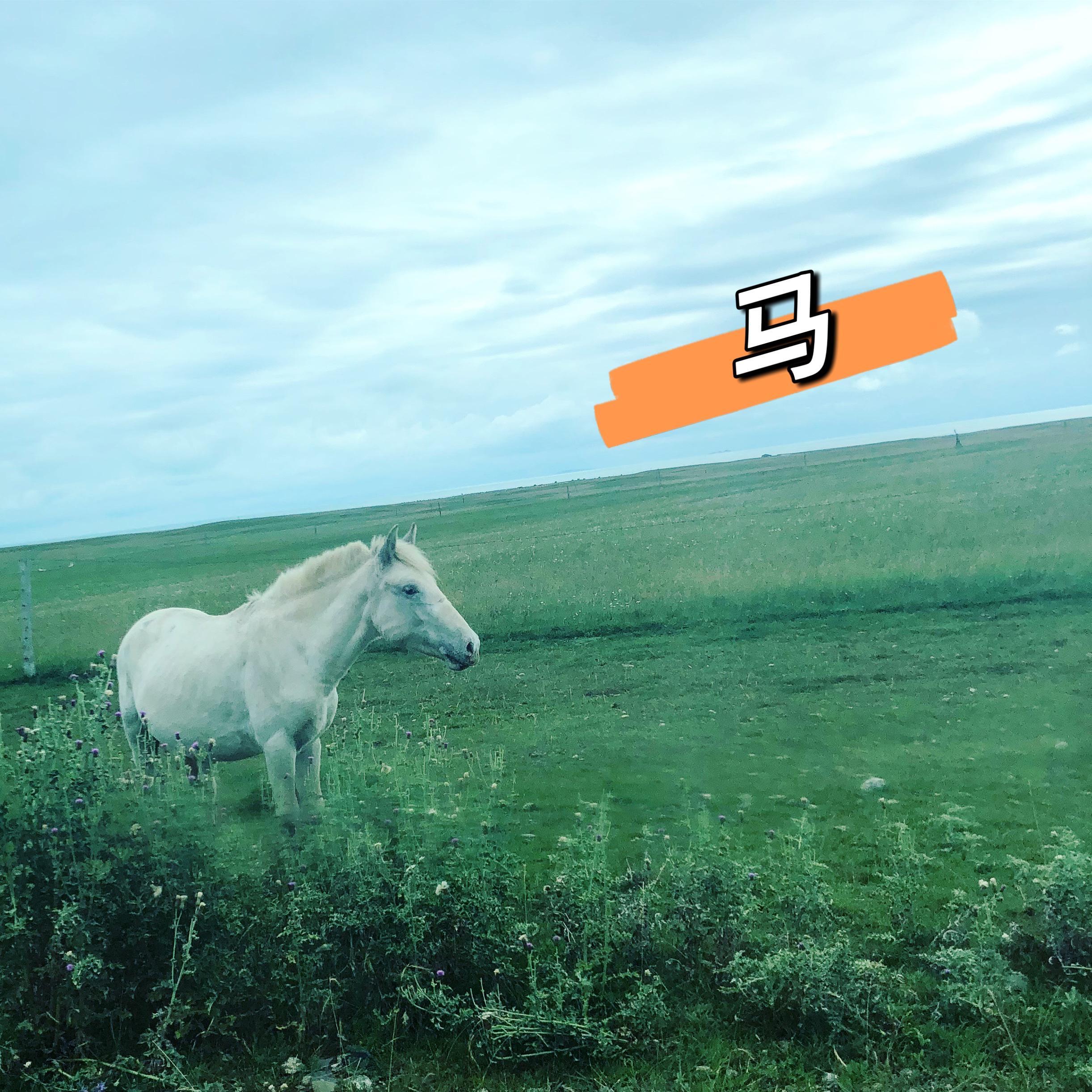 马