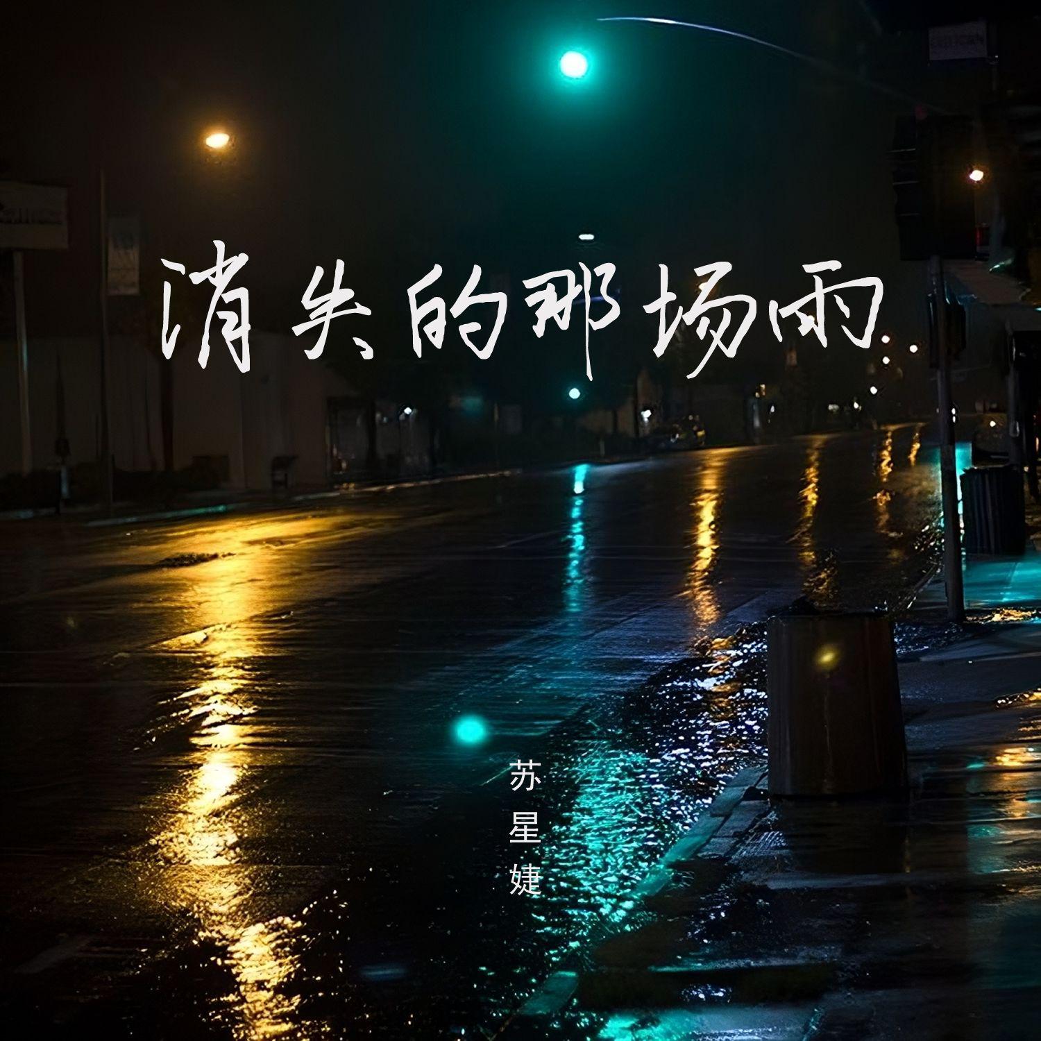 消失的那场雨