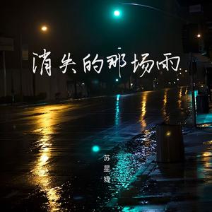 苏星婕 - 消失的那场雨 （降2半音）