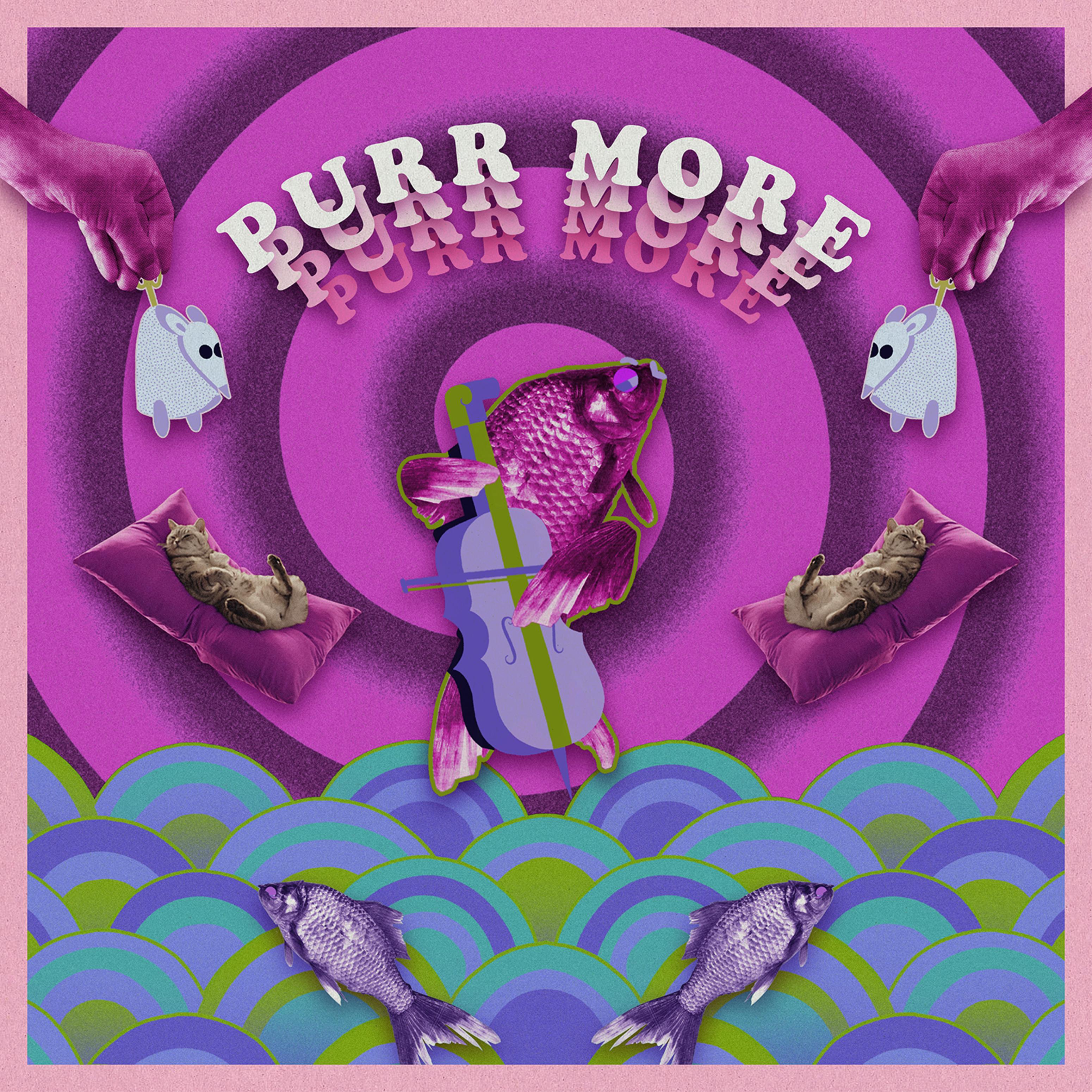 Purr More