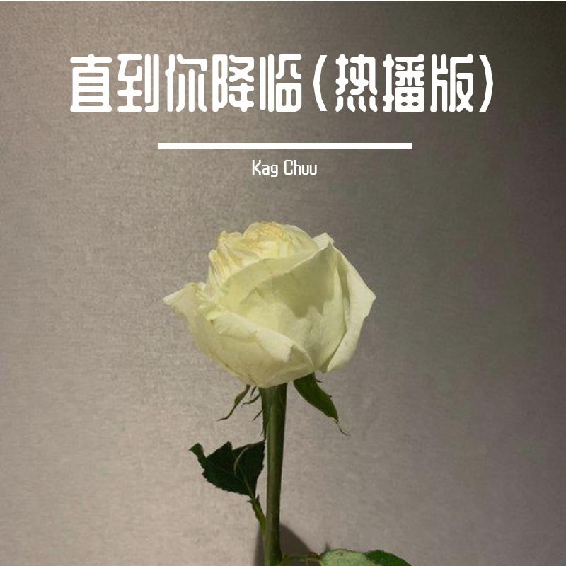 直到你降临（热播版）