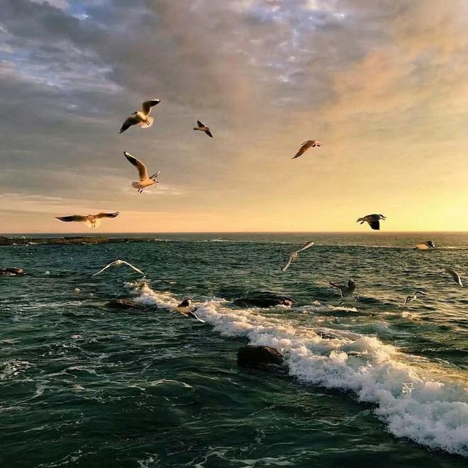 王雨桐-尘埃（DJ版）（明洋 remix）