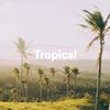 Boone - Tropical