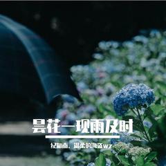 昙花一现雨及时（翻自 周深）