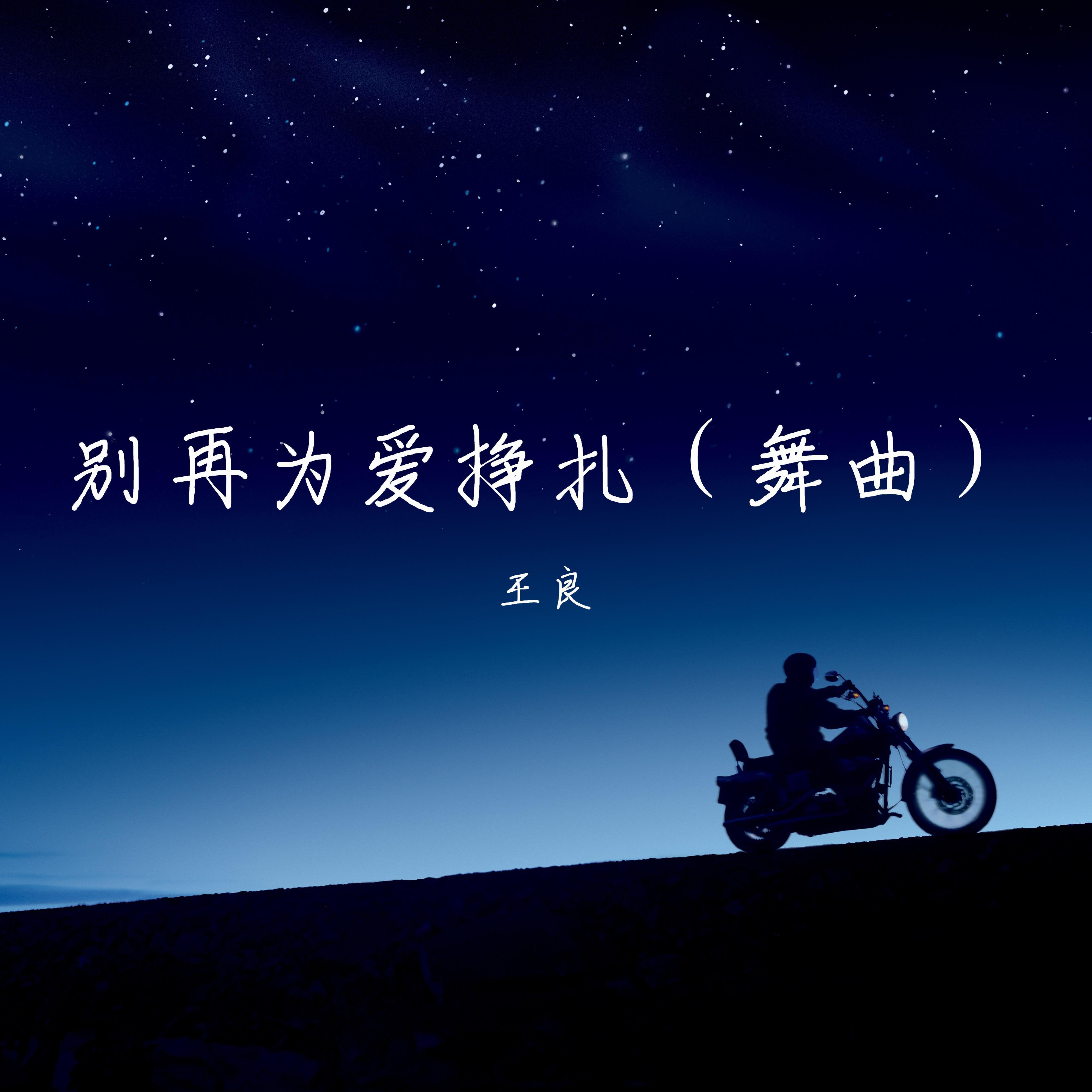 别再为爱挣扎 (舞曲)
