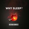 Why sleep?