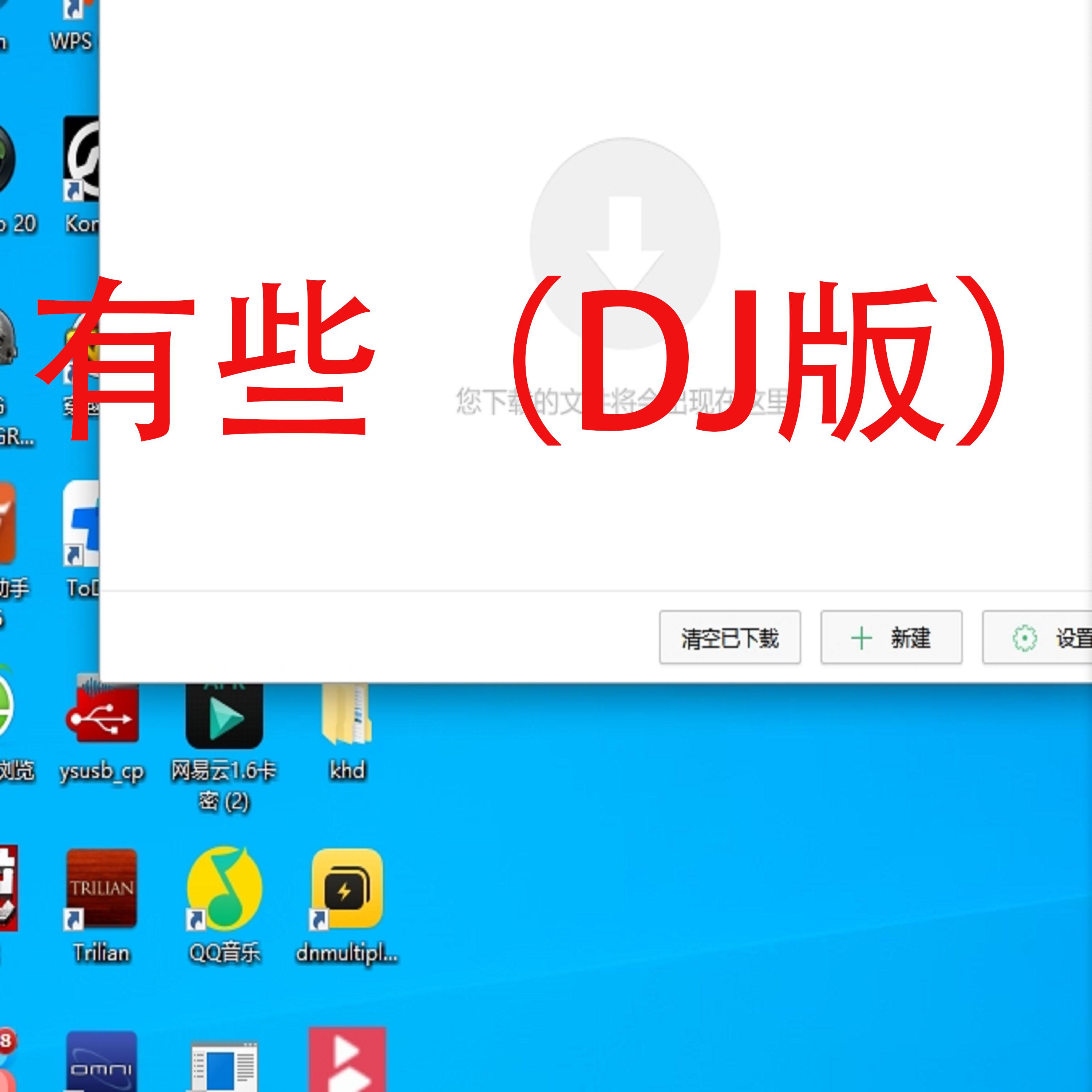 有些 (DJ版)